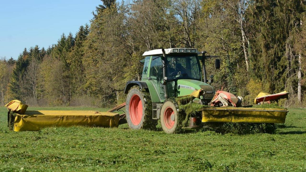 Ferienhof Weber Nieratz Wangen im Allgäu Dış mekan fotoğraf