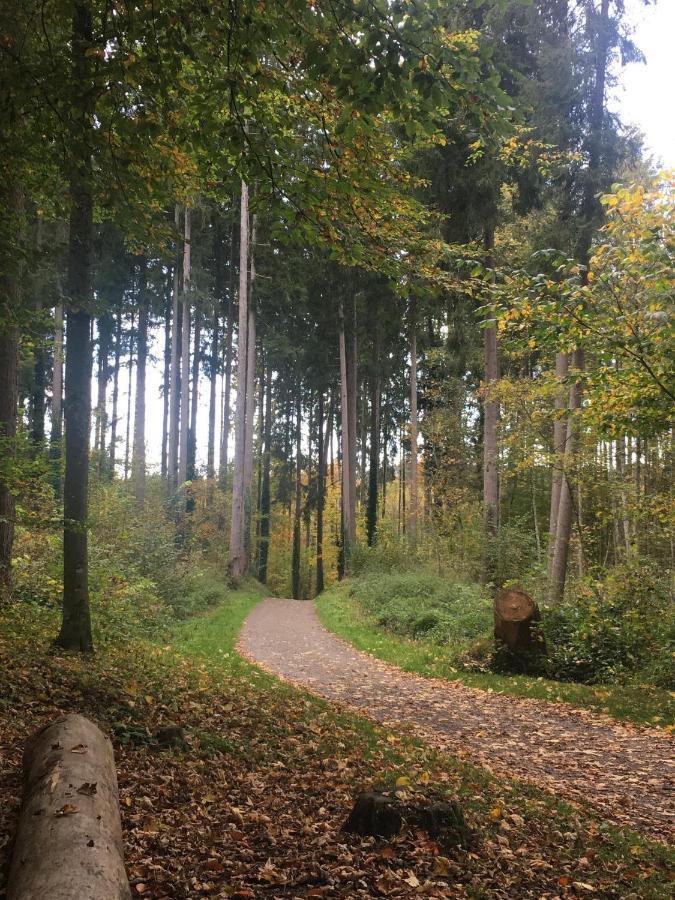 Ferienhof Weber Nieratz Wangen im Allgäu Dış mekan fotoğraf