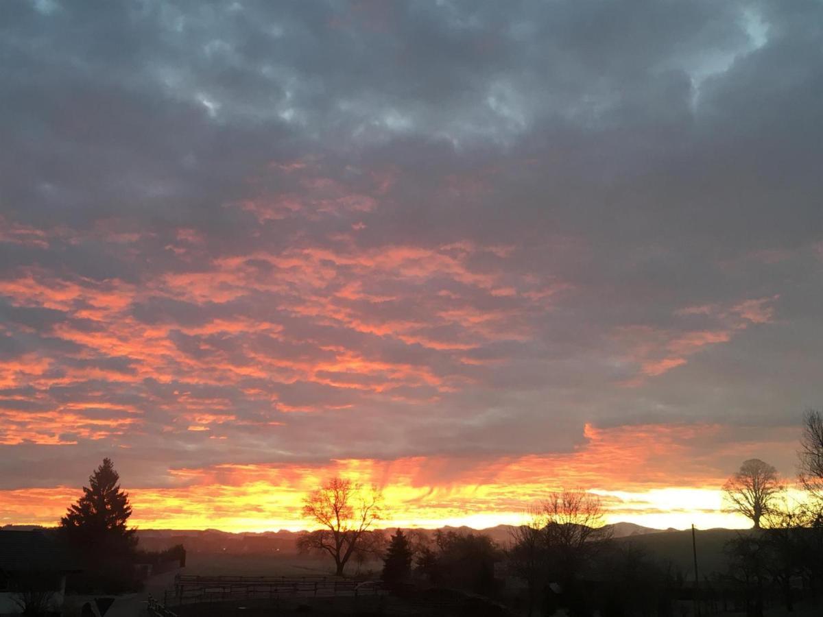 Ferienhof Weber Nieratz Wangen im Allgäu Dış mekan fotoğraf