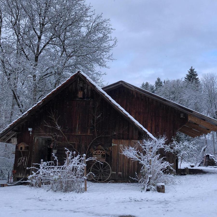 Ferienhof Weber Nieratz Wangen im Allgäu Dış mekan fotoğraf